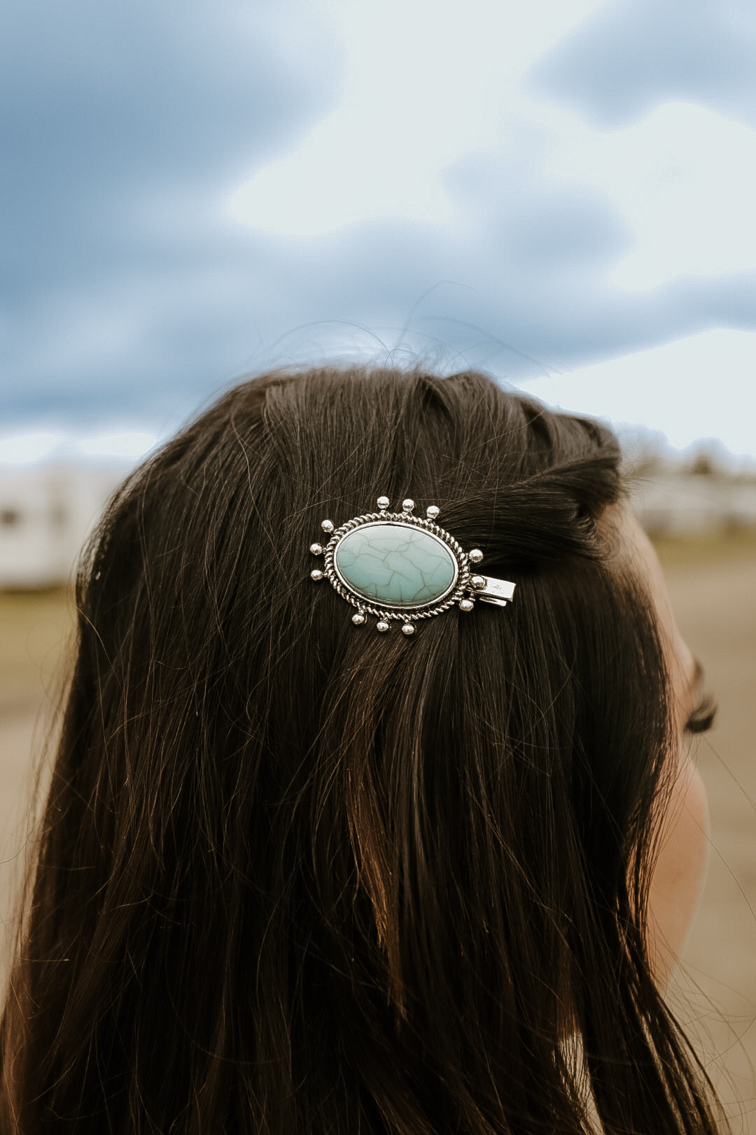 Turquoise hair clips